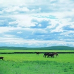 别被蒙蔽了！豆瓣除了看片单也能用来赚钱！